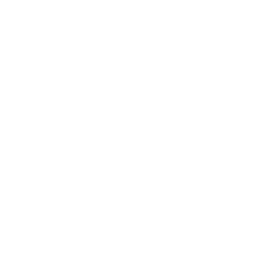 Super Retail Online